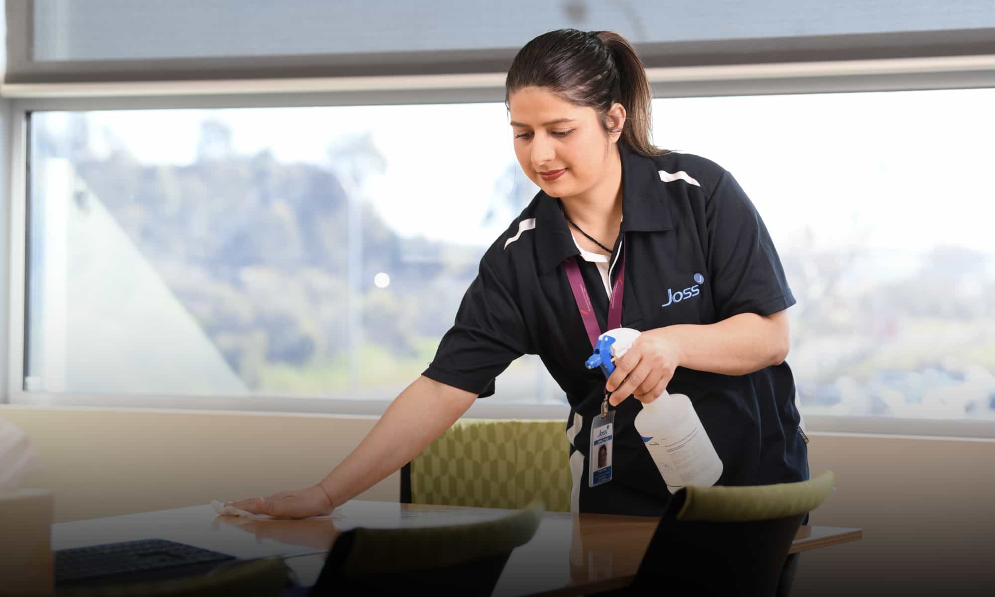 slidecleaning Joss Group